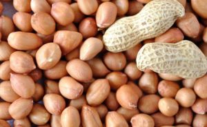 peanut-exporter-supplier-2